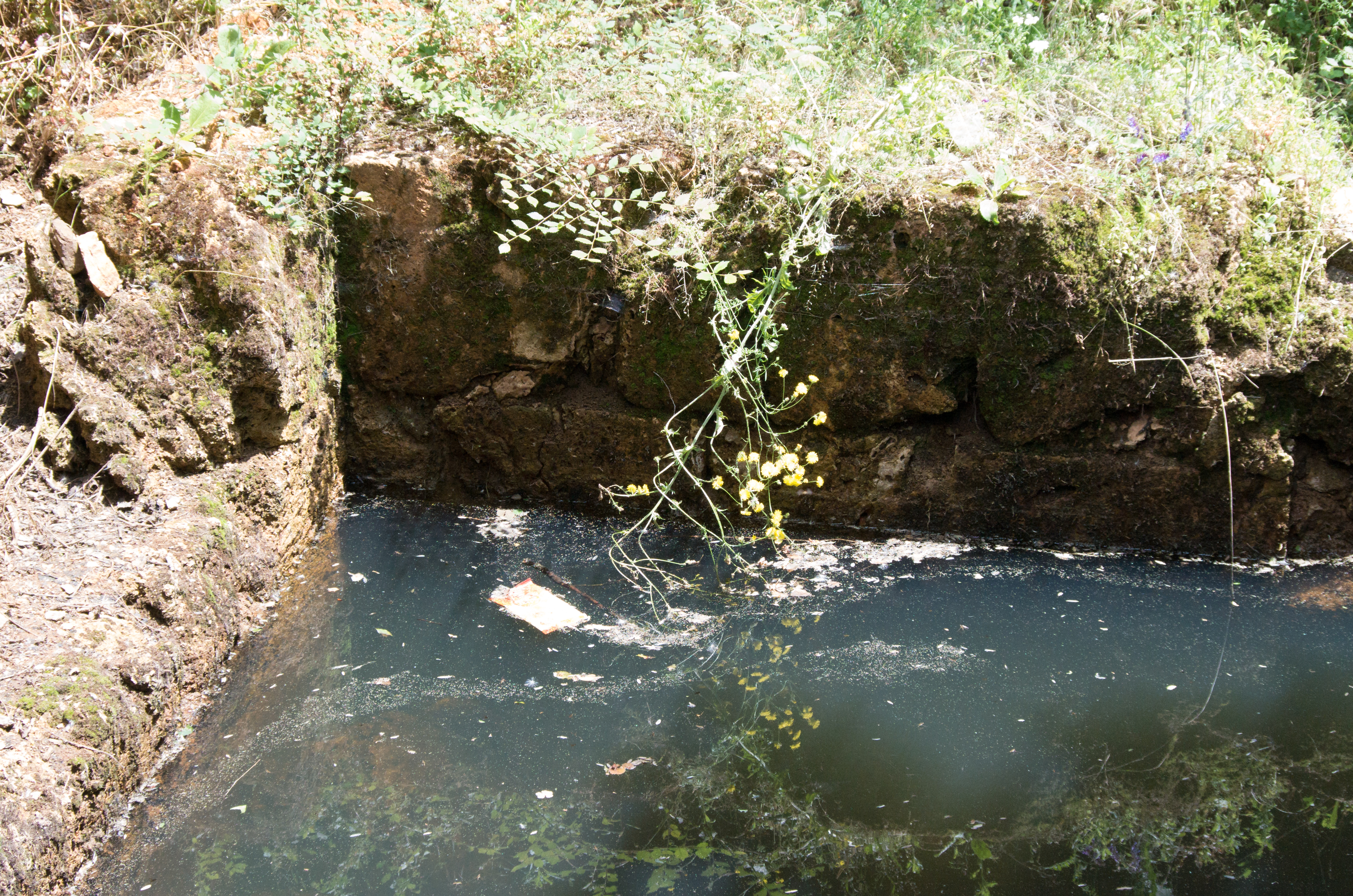 Вода 13. Фото Каррера с водой по землей Старво.