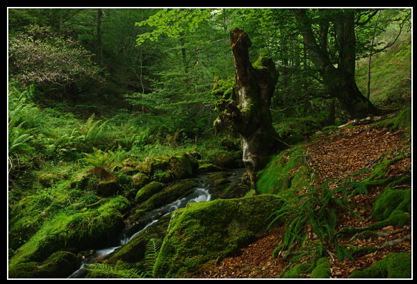 File:Basoa - panoramio - kurtsik (1).jpg