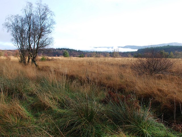 File:Boggy ground - geograph.org.uk - 1598590.jpg