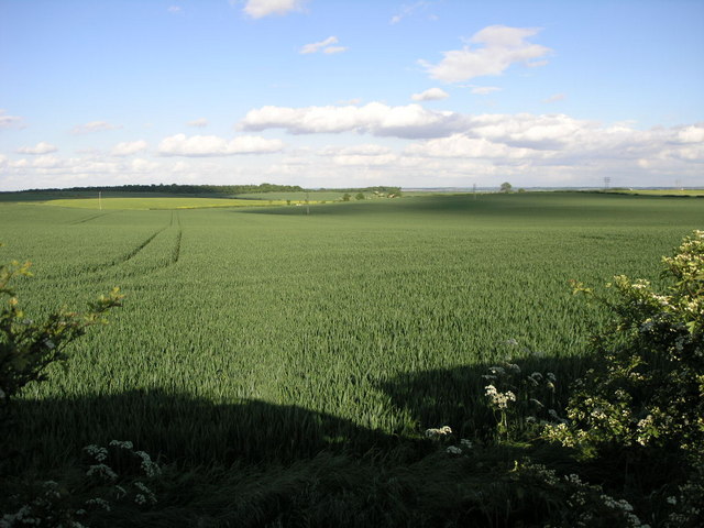 File:Bolsover Moor - geograph.org.uk - 177162.jpg