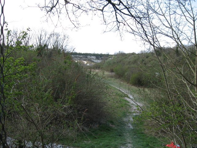 File:Chalk Pit near Cherry Hinton - geograph.org.uk - 805799.jpg