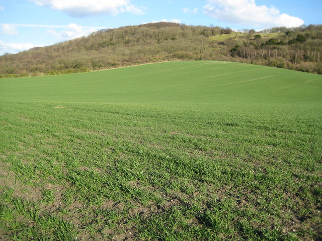 Chinnor, Wain Hill - geograph.org.uk - 750981