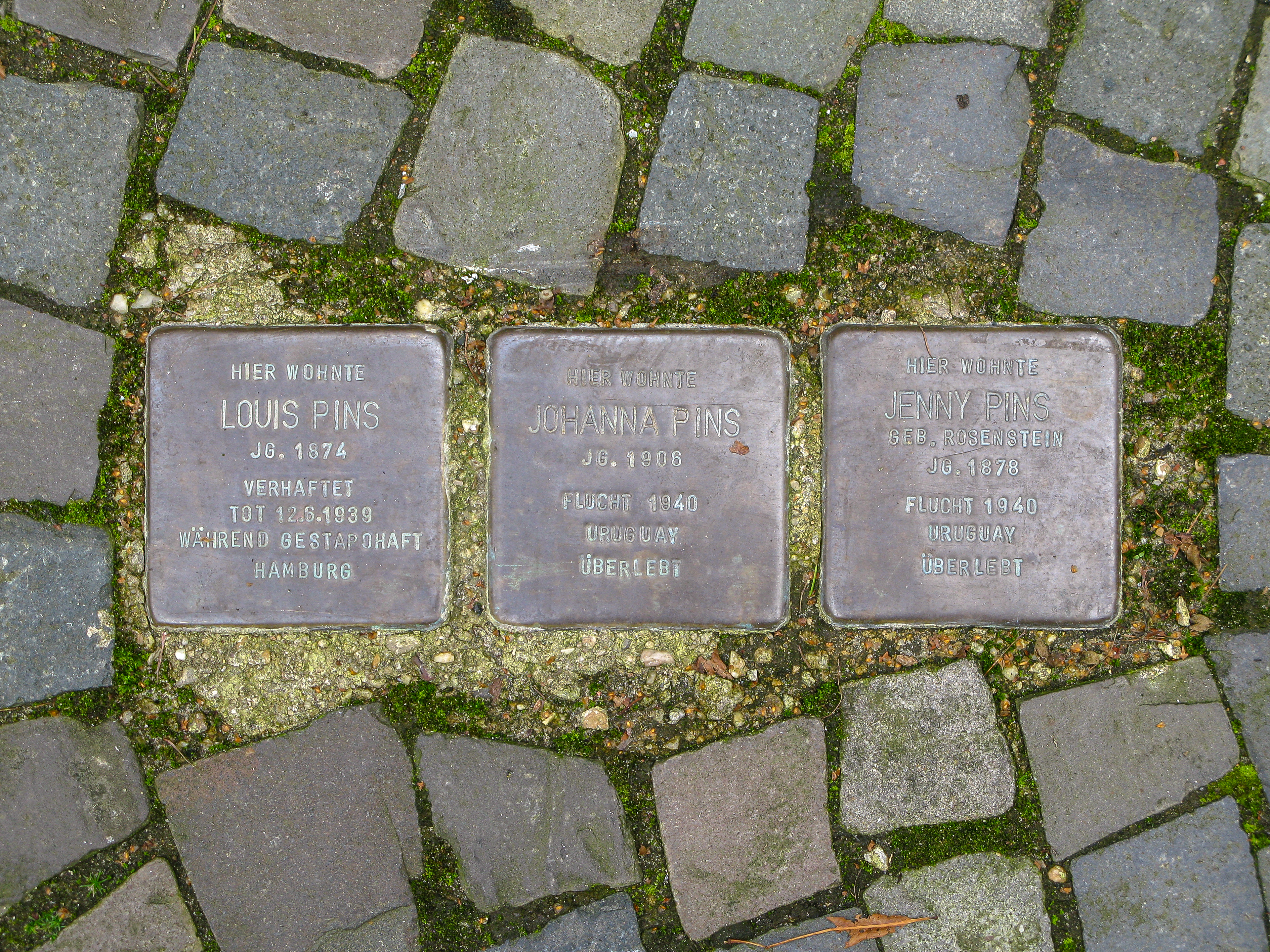 File:Dülmen, Stolpersteine, (Louis, Johanna und Jenny Pins, Bült 1) -- 2010 -- 2873.jpg - Wikimedia Commons