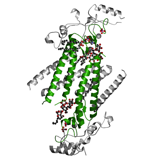 Dhhc Domain Wikipedia