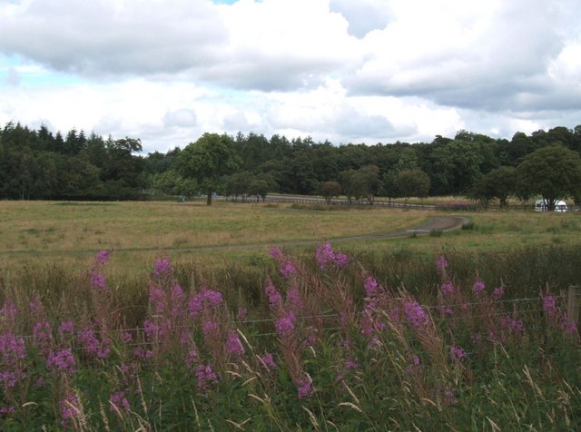 File:East of Auchenbowie Home Farm - geograph.org.uk - 524199.jpg