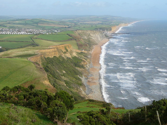 Eastern slope of Thorncombe Beacon - geograph.org.uk - 1146042