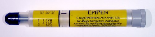 File:Epipen.jpg