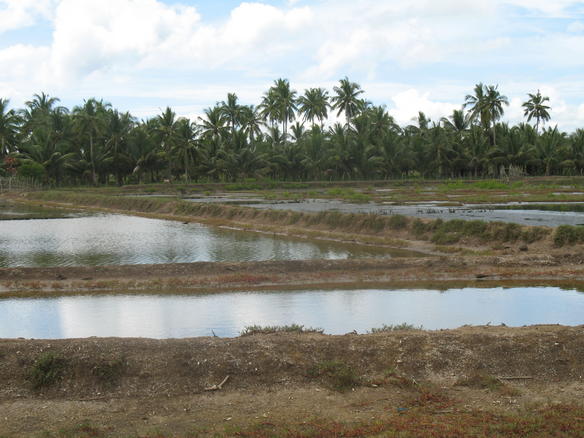 File:Fish farms in Tawad Milagros.jpg