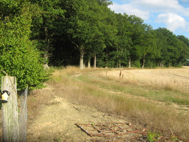 Footpath past Dering Wood - geograph.org.uk - 1428109