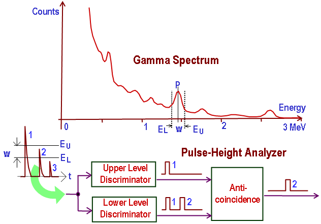 File:Gamma Pulse-Height Analyzer Principal.png