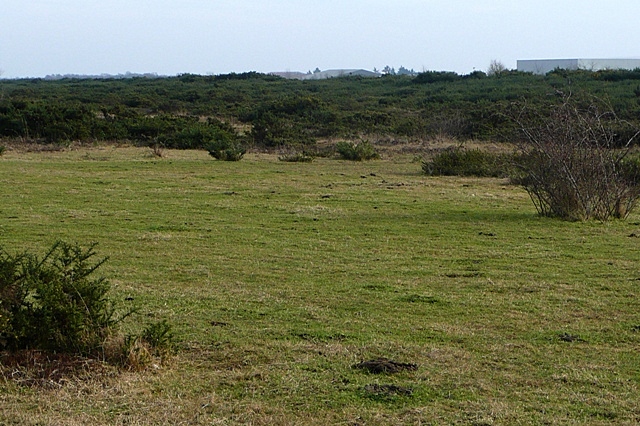 Greenham Common - geograph.org.uk - 1187348