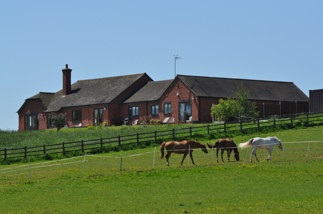 Horses grazing on the land of a property - geograph.org.uk - 1323076.jpg