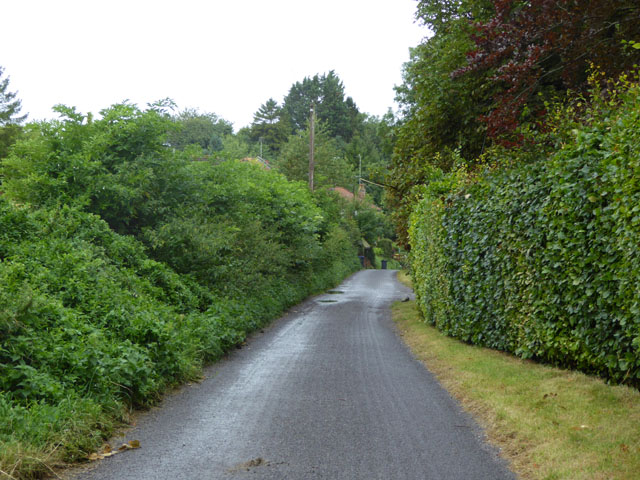 File:Imber Road, Bratton - geograph.org.uk - 5084199.jpg