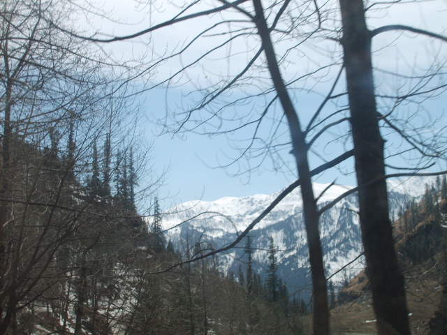 File:MOUNTAIN WITH TREE" BEAUTY OF MANALI ".JPG