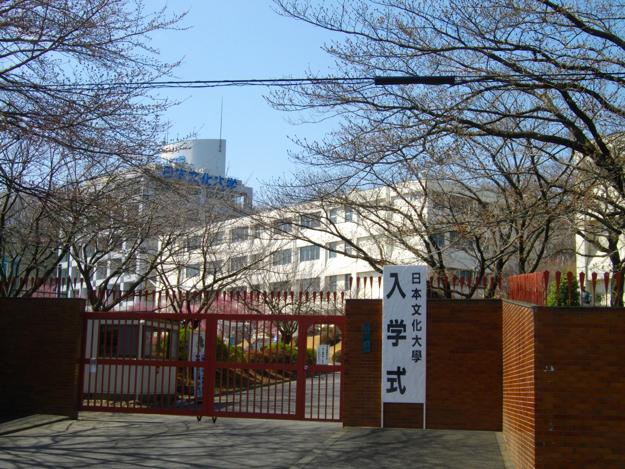 日本文化大学 维基百科 自由的百科全书