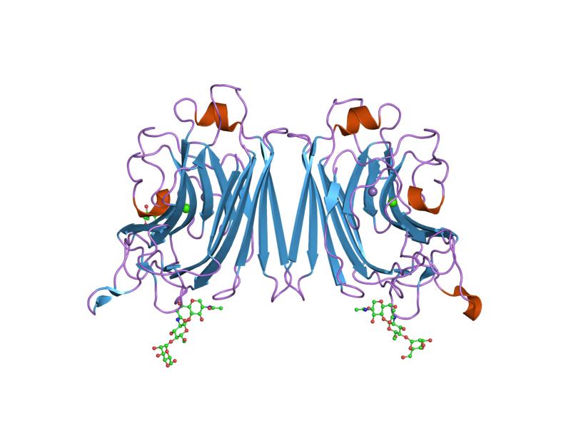 File:PDB 1f9k EBI.jpg