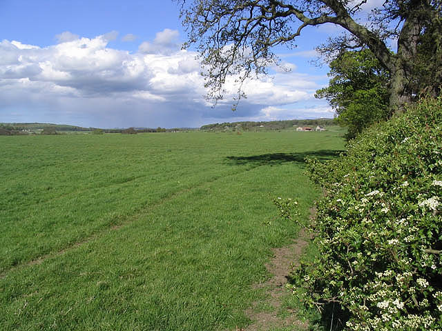 File:Pasture - geograph.org.uk - 427587.jpg