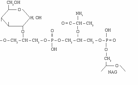 Polyglycerinphosphat.png