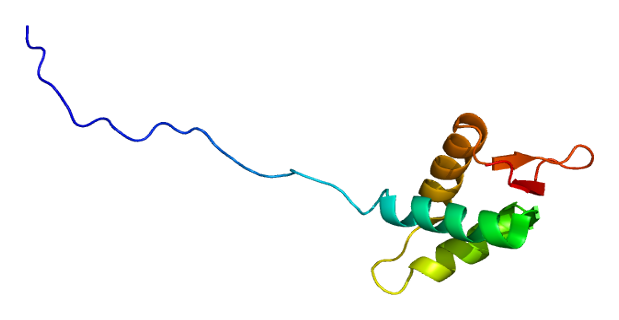 File:Protein CUL3 PDB 1iuy.png