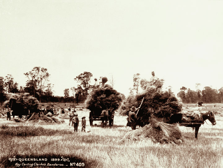 File:Queensland State Archives 2375 Hay carting at Clarkes farm Danderoo 1899.png