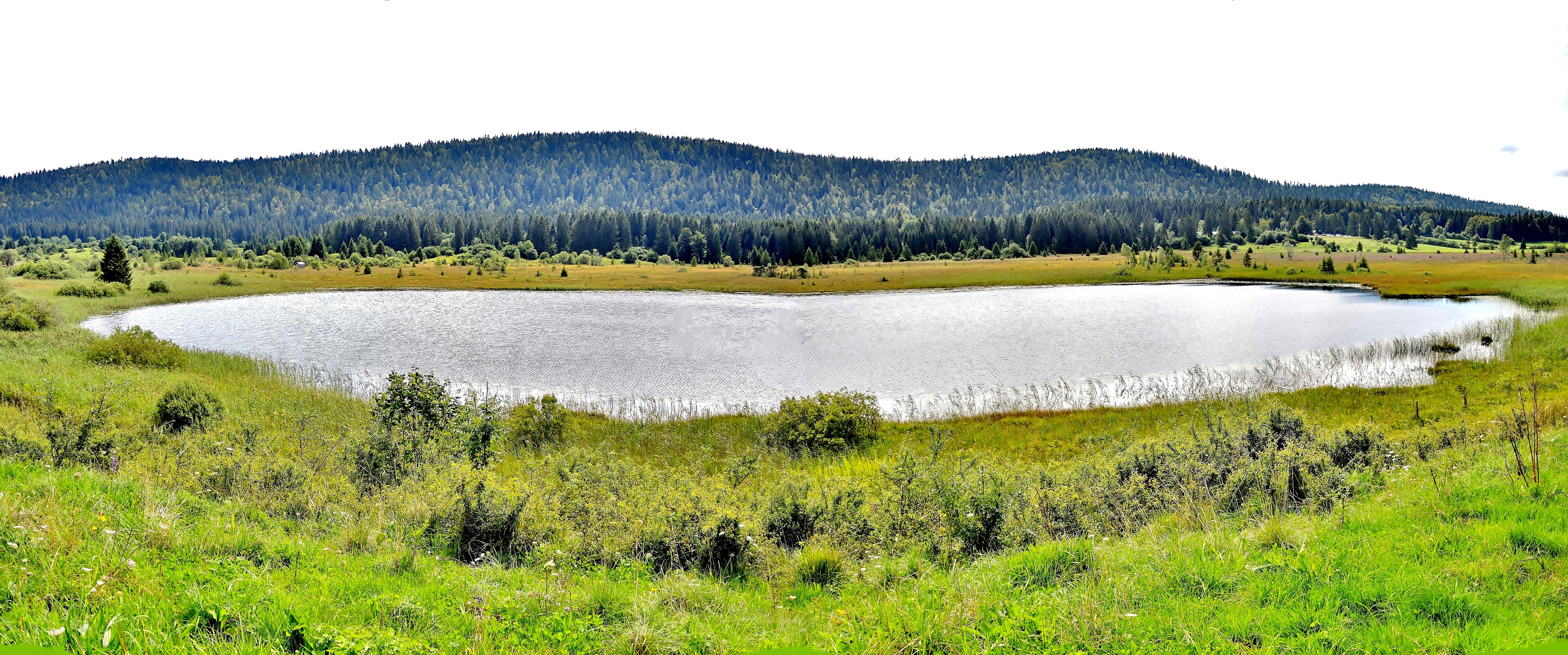 Lac des rouges truites null France null null null null