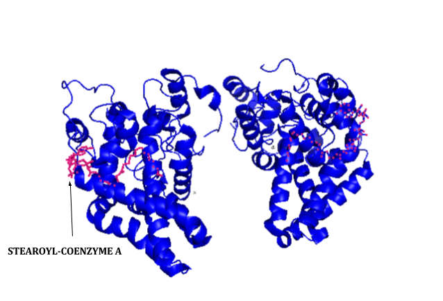 File:Stearoyl-CoA desaturase crystal structure.png