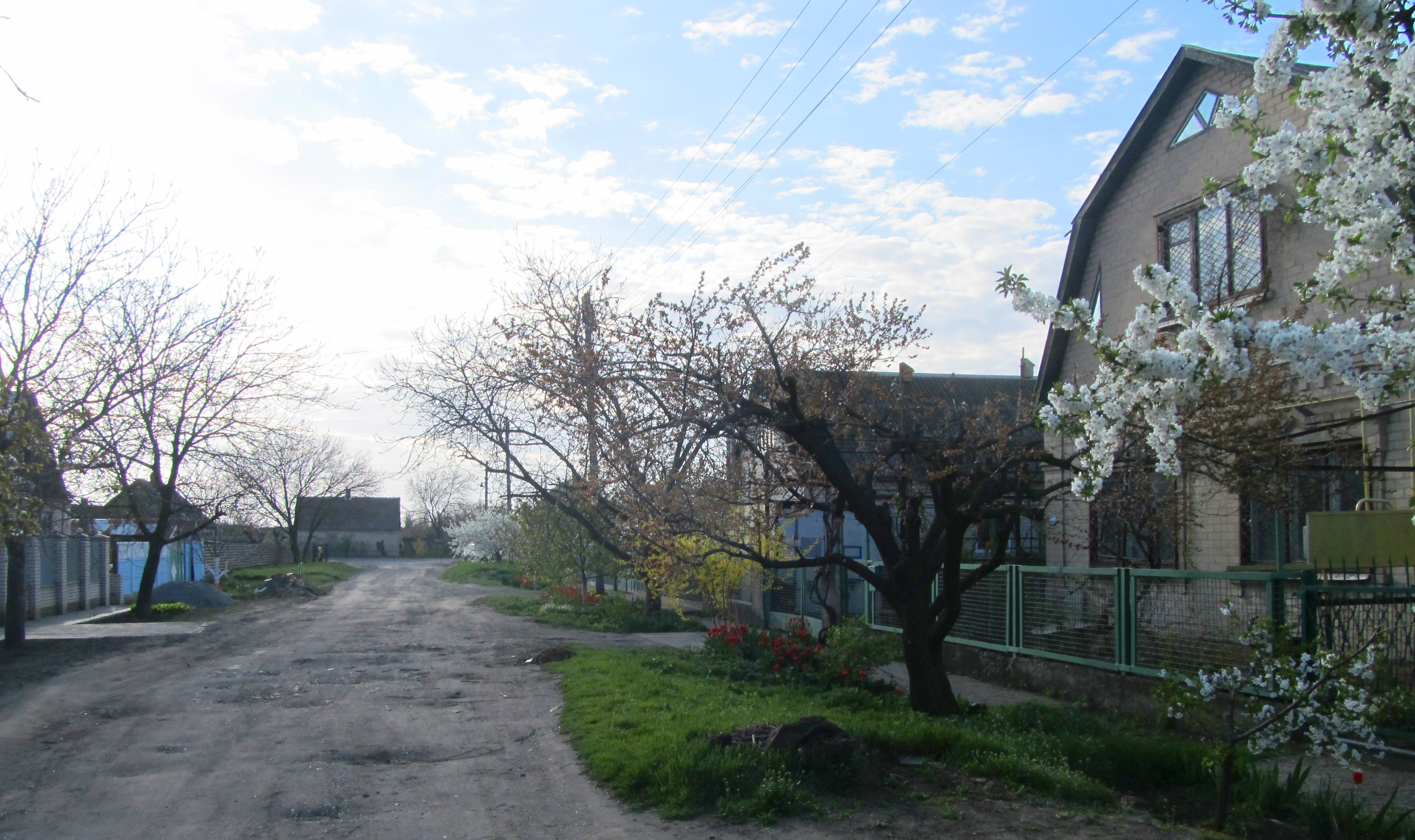 Temiryazeva Str., Melitopol, Zaporizhia Oblast, Ukraine 08.JPG