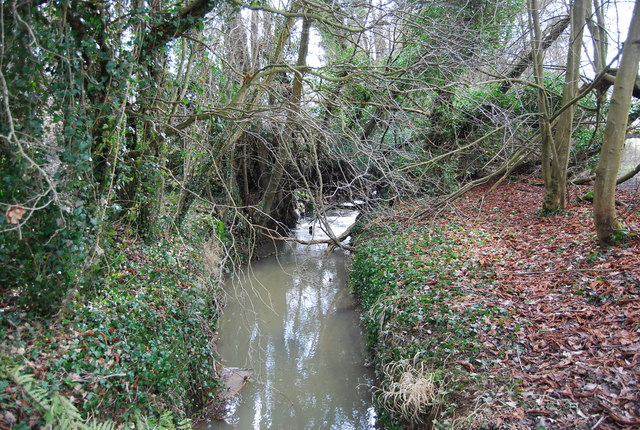 File:The Darwell Stream, upstream - geograph.org.uk - 1730605.jpg
