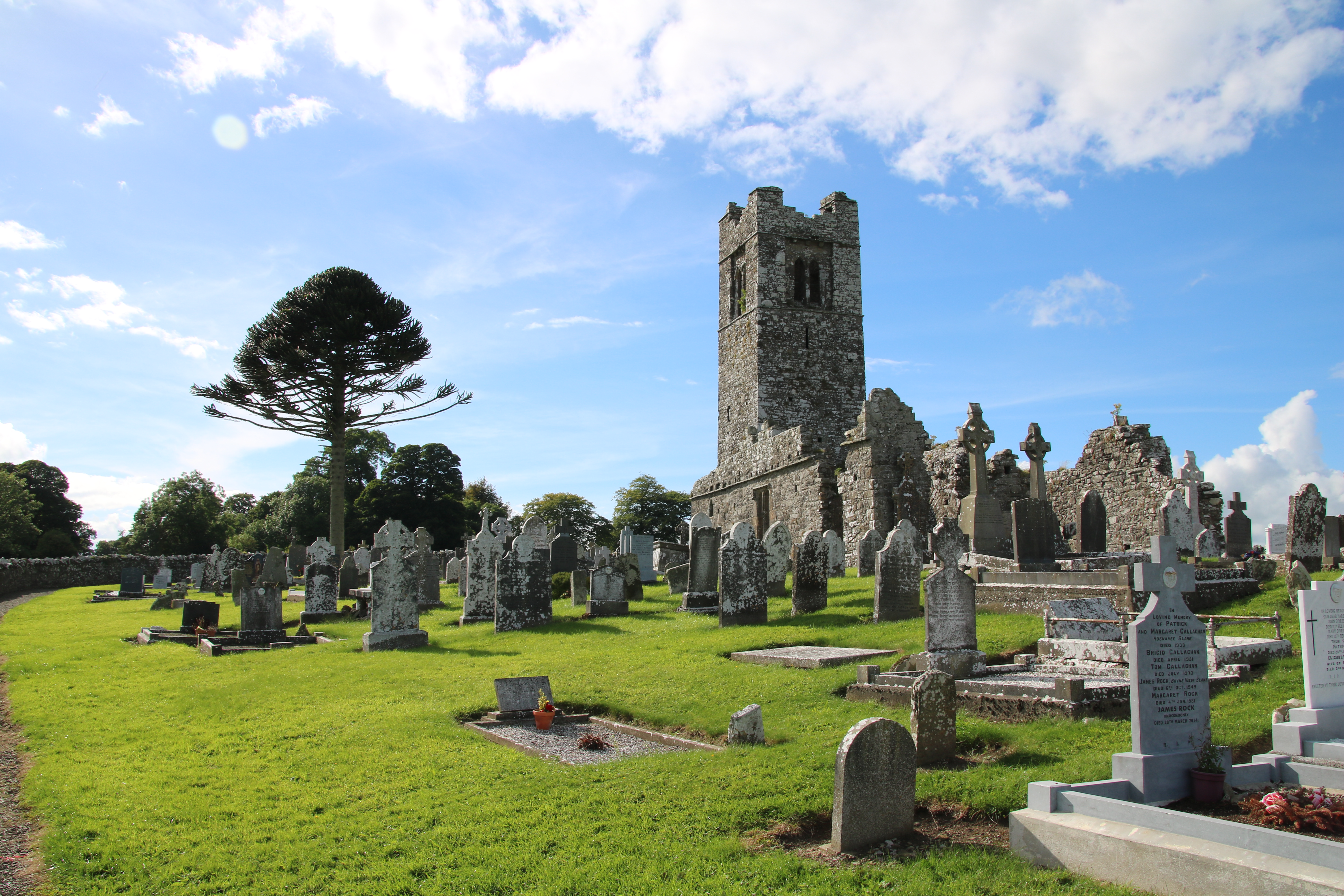 places to go & things to do - Visit Navan in Irelands Ancient East