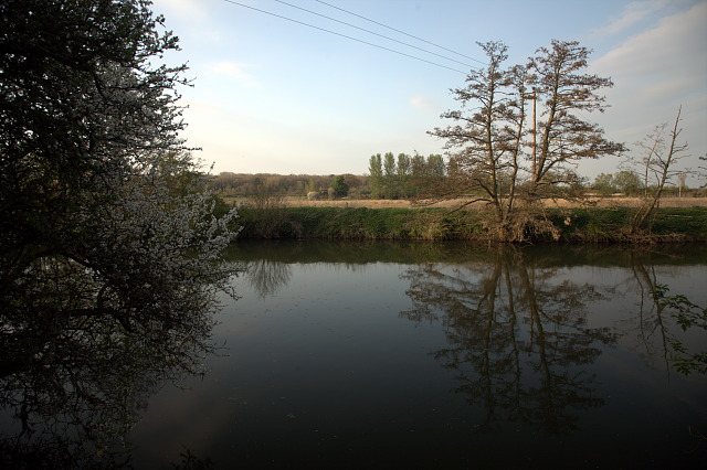 The North Bank of the River Avon - geograph.org.uk - 1264741