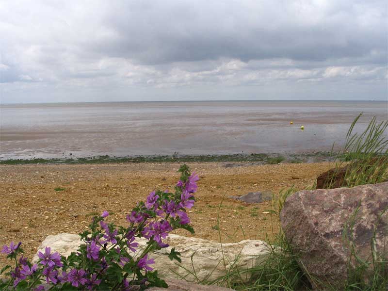 File:The Wash, Heacham beach.jpg