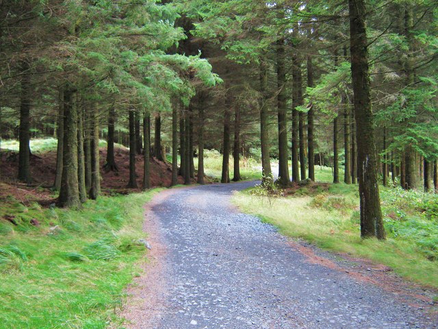 The track from Bruce's Stone to Clatteringshaws visitor centre - geograph.org.uk - 1575031