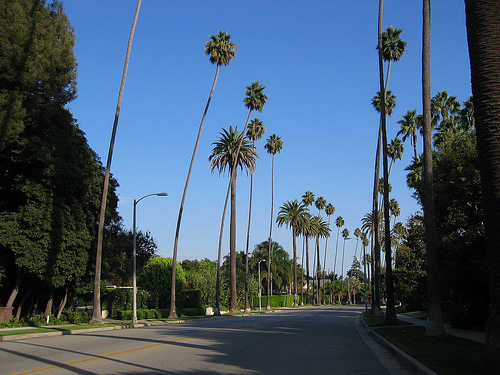 File:USA Beverly Hills Sunset boulevard.jpg