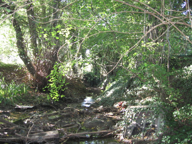 File:Un-named stream - geograph.org.uk - 254932.jpg