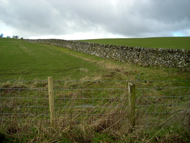 File:Wall on Hempland Hill - geograph.org.uk - 354775.jpg