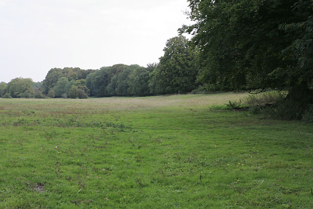 File:Wayfarer's Walk north of Cut Bridge, Soberton - geograph.org.uk - 237668.jpg