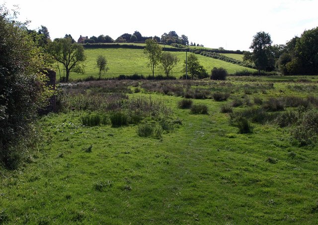 File:West Deane Way - geograph.org.uk - 1518266.jpg