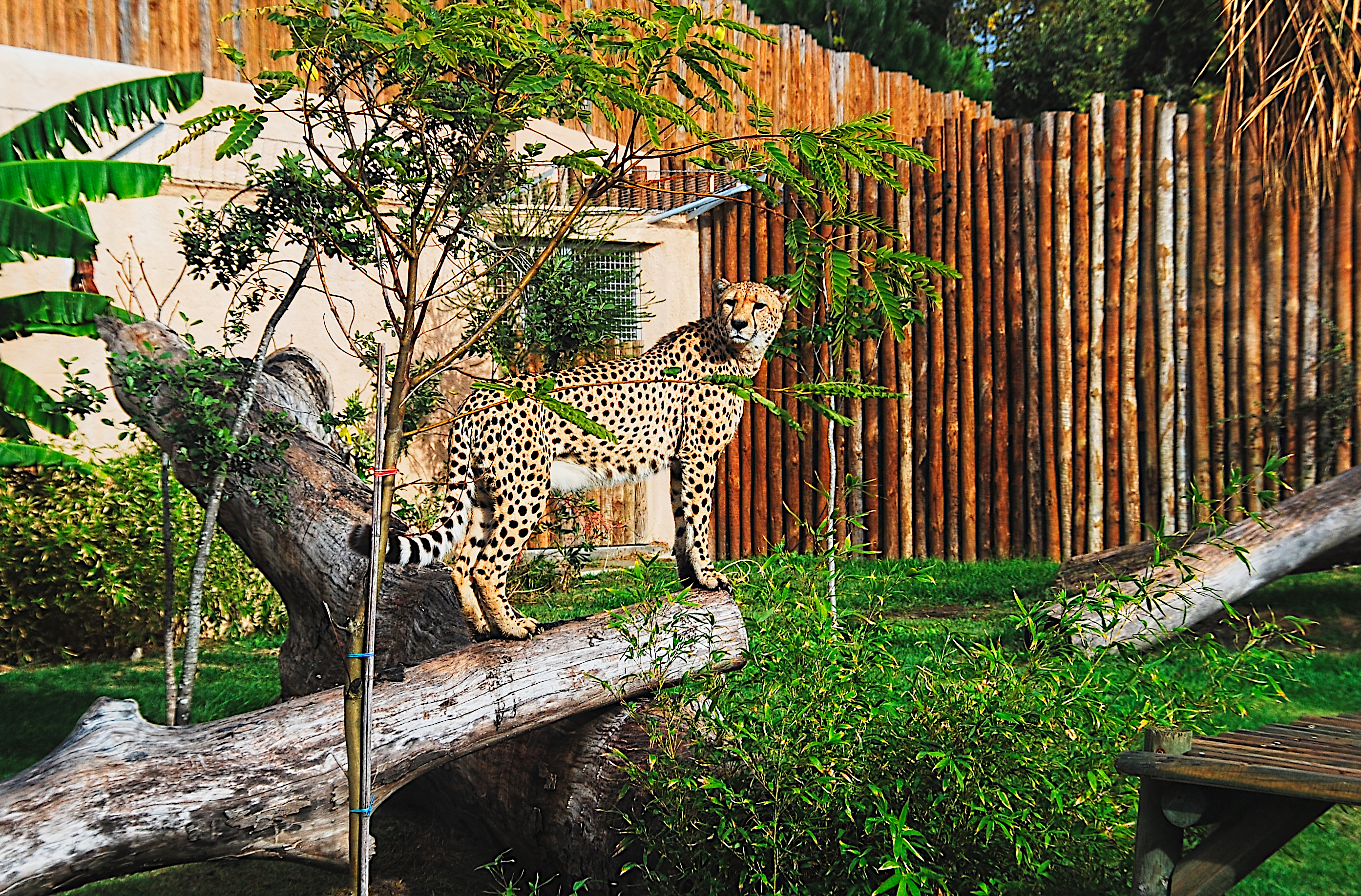 Donde está el zoo de madrid