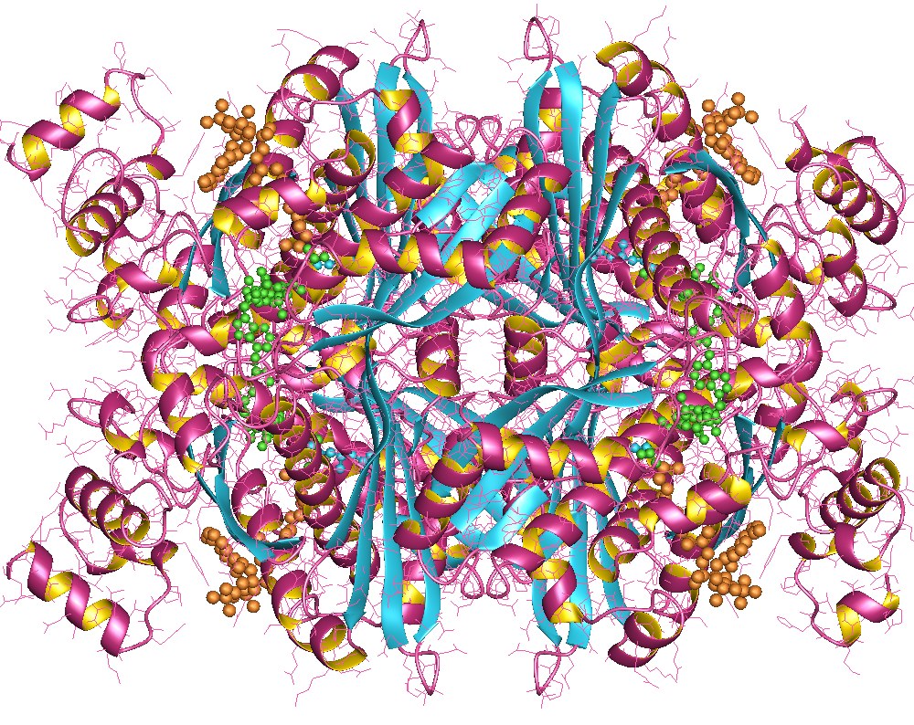 Гидроксиметилглутарил-КОА-редуктаза. HMG белки. Энзимы. Энзимы логотип.