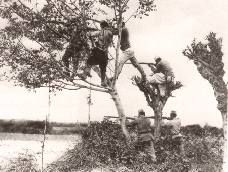 File:Albanian soldiers (Siege of Shkodër).jpg