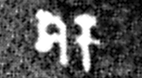 File:Allahabad pillar Samudragupta inscription Shaka word in Line 23.jpg