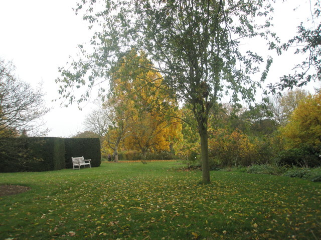 File:Autumnal seat at RHS Wisley (3) - geograph.org.uk - 1561978.jpg