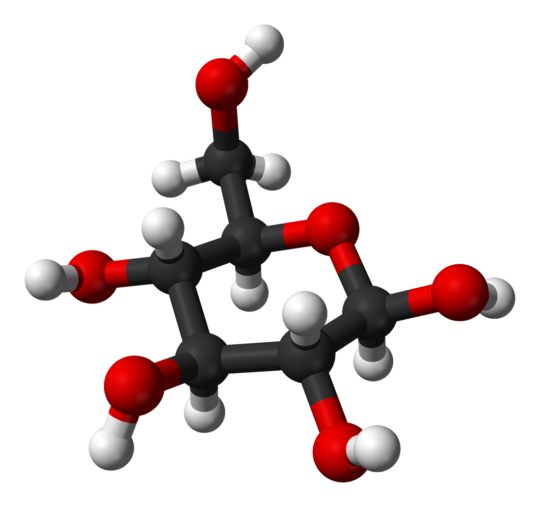 File Beta D glucose from xtal 3D balls png Wikipedia