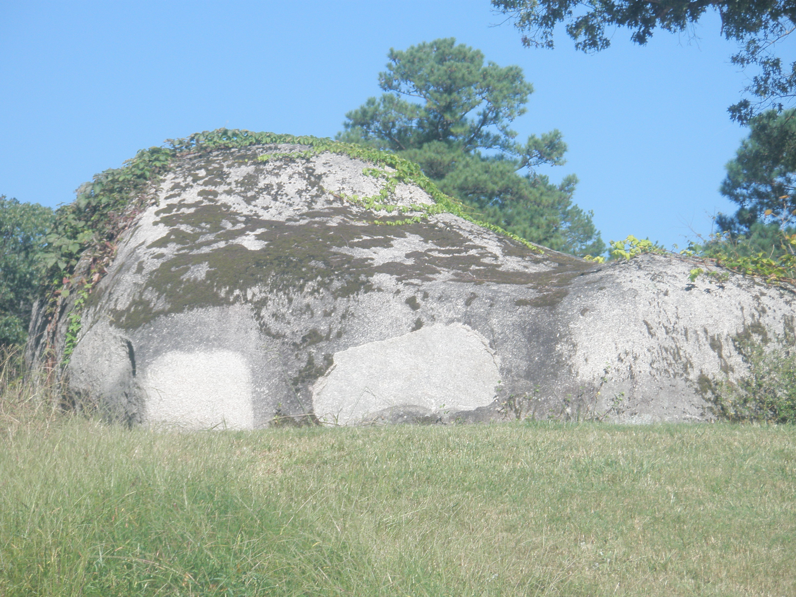 Rocki roads. Batholiths. Rock Road. Alpine Tomb Batholith.