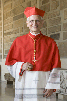 <span class="mw-page-title-main">Raffaele Farina</span> Italian cardinal