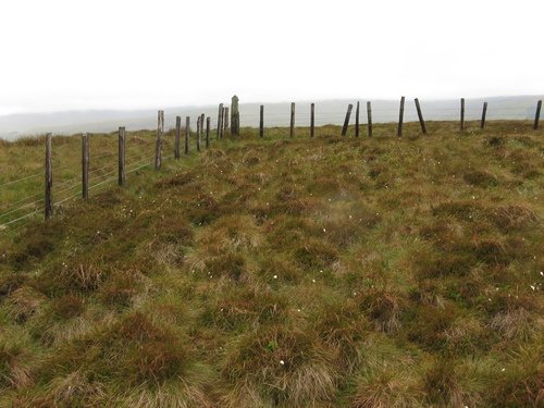 File:Corner of Boundary Fences - geograph.org.uk - 860458.jpg