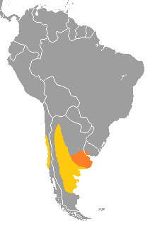 Cyanoliseus patagonus range map.png