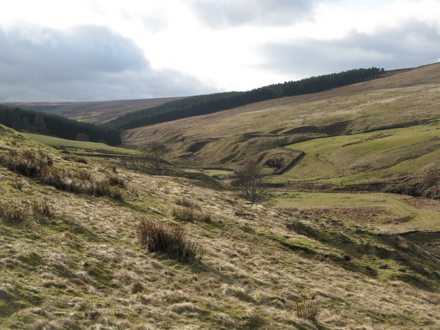 File:Disused mine workings in the valley of Nookton Burn - geograph.org.uk - 707838.jpg