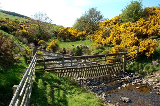 File:Down Shallochwreck Burn - geograph.org.uk - 1269102.jpg