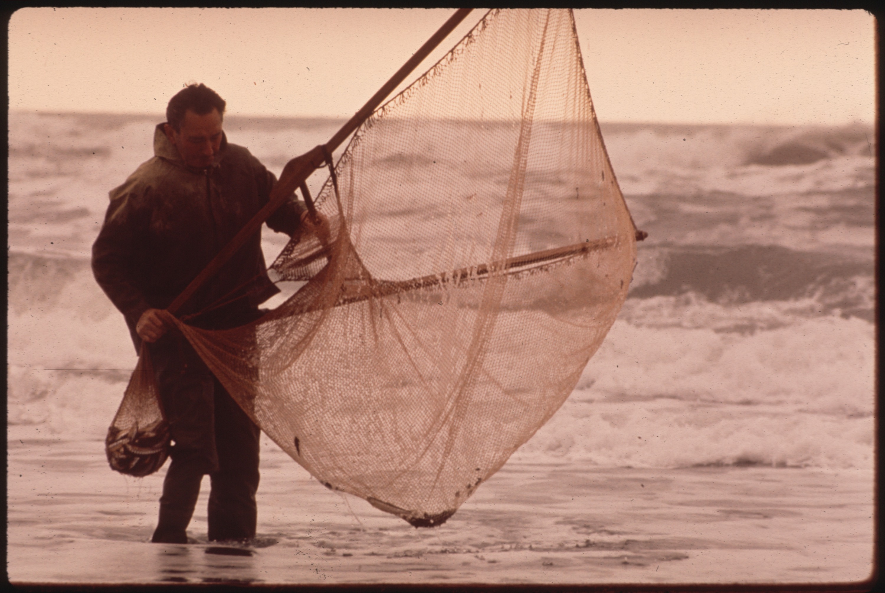 File:FISHING FOR SMELT ON GOLD BLUFF BEACH - NARA - 543033.jpg - Wikimedia  Commons